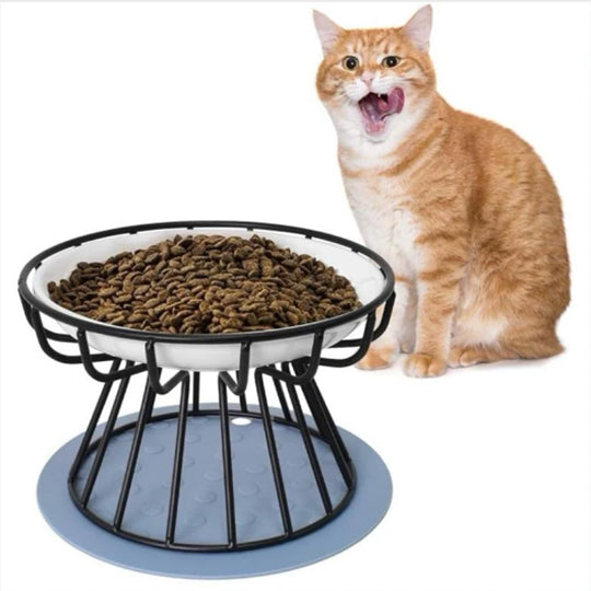 Cat Bowl with Elevated Design for Enhanced Feeding Comfort and Stability