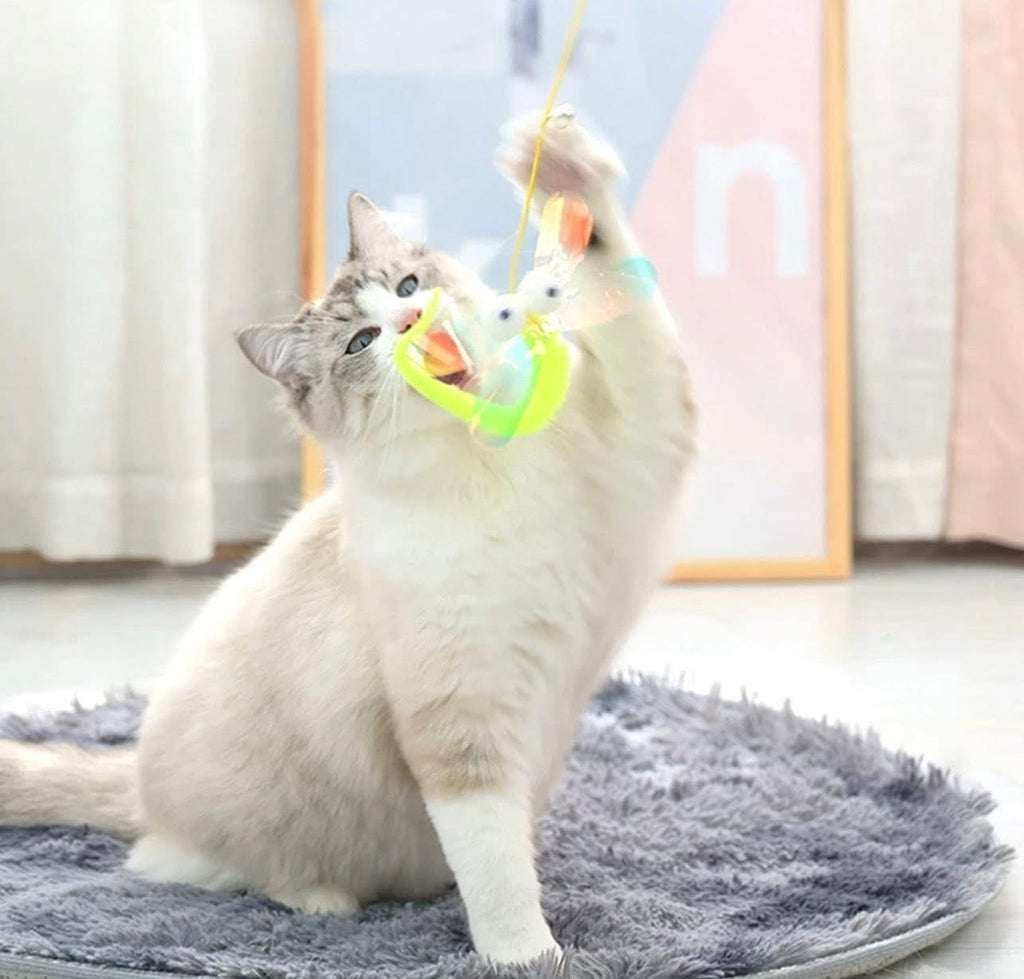 3Pcs Hanging Cat Toys for Indoor Playing - Interactive Exercise and Entertainment Toy, Retractable Door Catnip Toy With Bells for Cats and Kittens