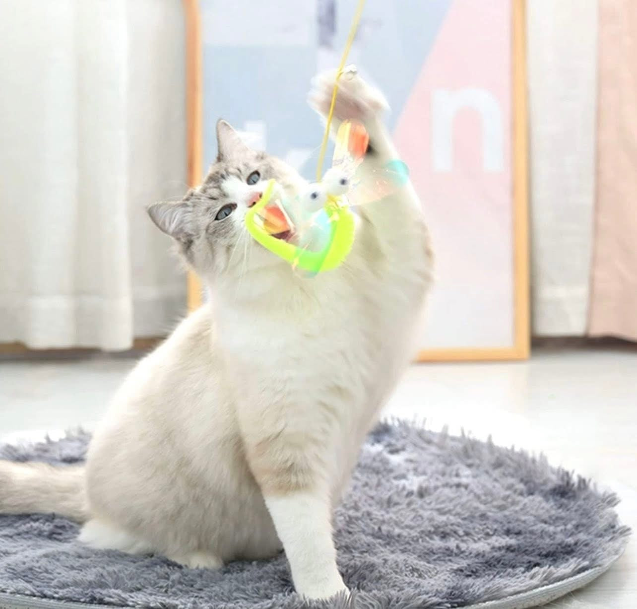 3Pcs Hanging Cat Toys for Indoor Playing - Interactive Exercise and Entertainment Toy, Retractable Door Catnip Toy With Bells for Cats and Kittens