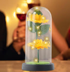 Jinlaili Sunflower gifts for women mother grandma eternal flower with LED in glass dome, flower gifts for mom, wife, unique eternal gift for wedding, anniversary,