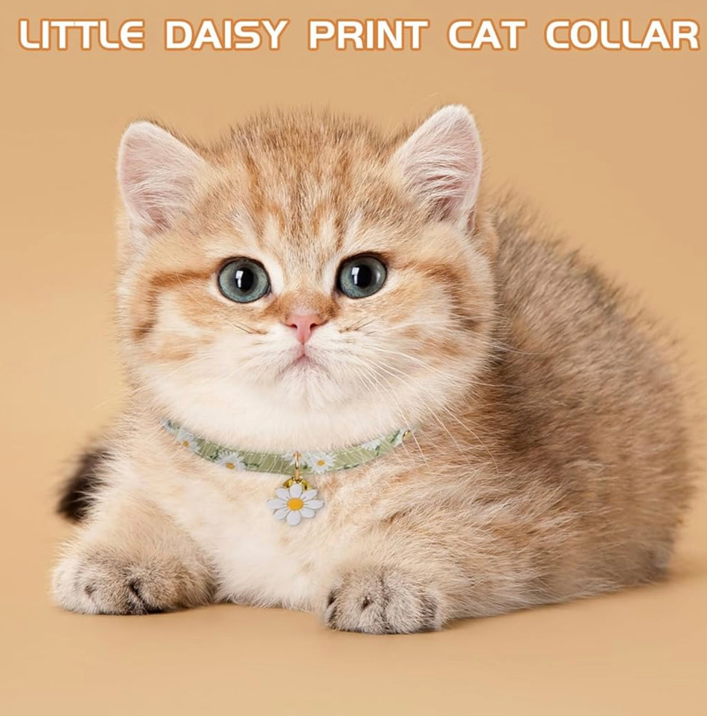 Husalsea 4-Pack Kitten Collars with Bell, Adjustable Cat Collar Set for Kittens and Cats (18-30cm), Cute and Comfortable Nylon Collars with Bell