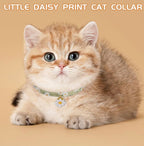 Husalsea 4-Pack Kitten Collars with Bell, Adjustable Cat Collar Set for Kittens and Cats (18-30cm), Cute and Comfortable Nylon Collars with Bell