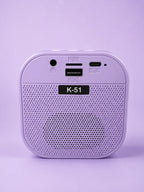 Karaoke Wireless bluetooth speaker with 2 microphones - USB Type-C rechargeable speaker and microphones